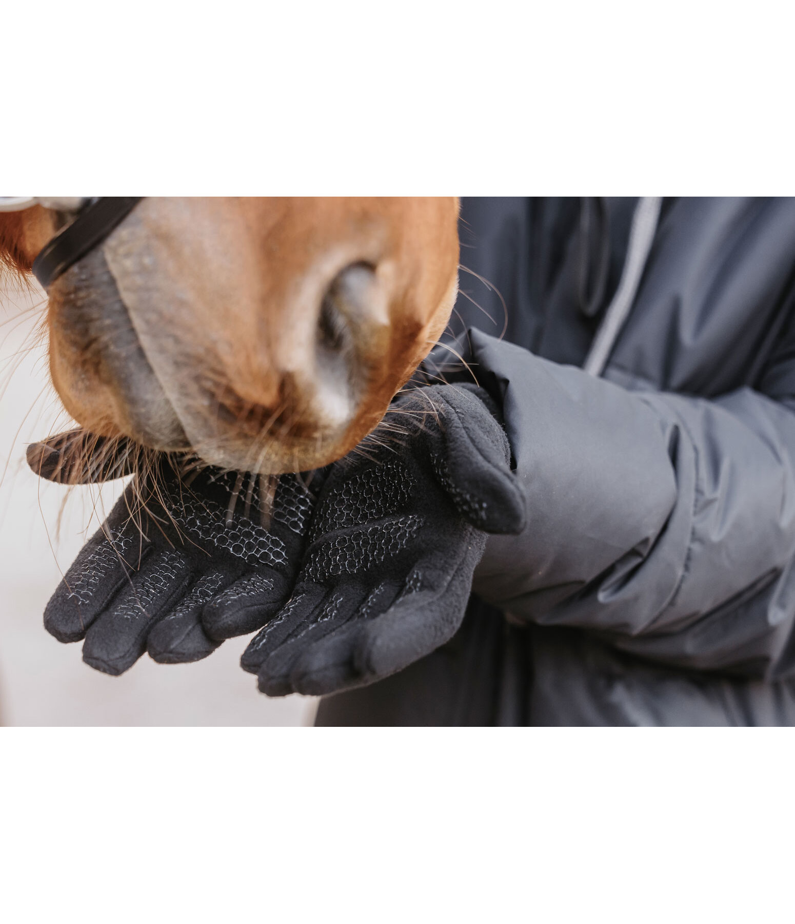 Winter Fleece Gloves Softy