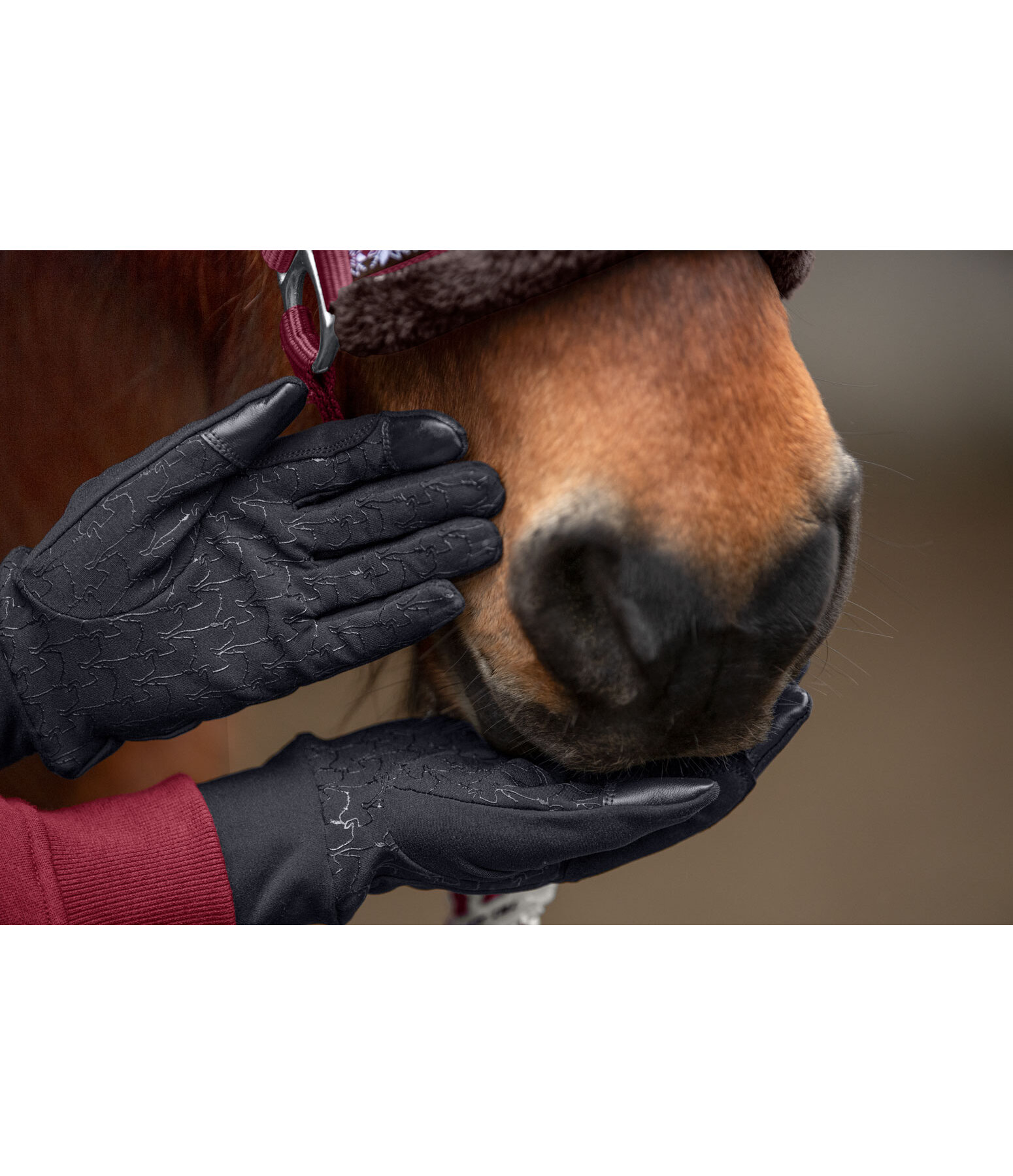 Winter Riding Gloves