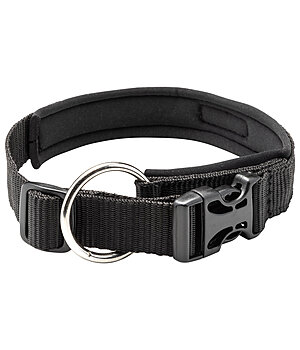 sugar dog Dog Collar Becks - 231007-S-S