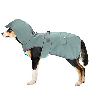 sugar dog Rain Dog Coat Waterton Lakes, 0g - 231108-M-DM