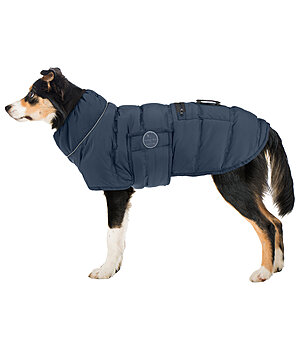 sugar dog LED Dog Quilted Jacket Arlo, 300g - 231203-M-NV