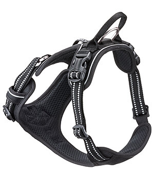 sugar dog Dog Harness Expedition - 231211-M-S