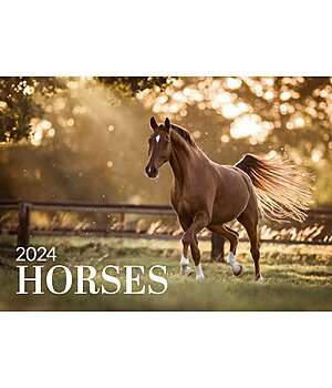 Equino Media Horses Calender 2025 - 390002