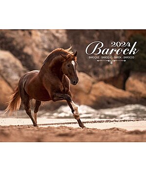 Equino Media Baroque Calendar 2025 - 402354