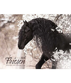 Equino Media Friesian Horse Calendar 2025 - 402417