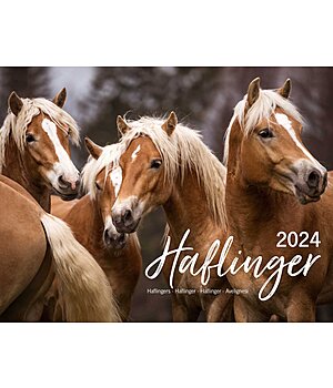 Equino Media Haflinger Calendar 2025 - 402531