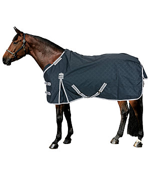 THERMO MASTER Combination System Regular Neck Turnout Rug Janice, 0g - 422479-6_6-NV