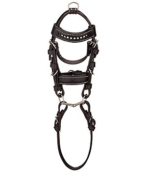 SHOWMASTER Mini Bridle - 621190--SS