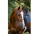 Waterproof Trekking Bridle Eifel