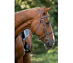 Waterproof Trekking Bridle Eifel