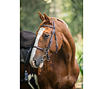 Waterproof Trekking Bridle Eifel