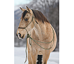 Knot Rope Halter Merano with Mecate