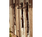 Western Headstall Tila