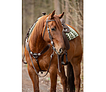 Headstall Crystal Dream