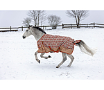 Lightweight Turnout Rug Billy