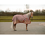 Lightweight Turnout Rug Billy