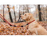 Collar Nature Rope