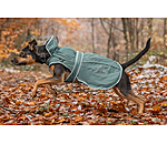 Dog Raincoat Ally 2 in 1