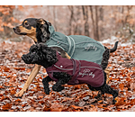 Dog Raincoat Ally 2 in 1