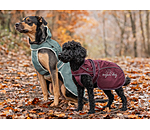 Dog Raincoat Ally 2 in 1