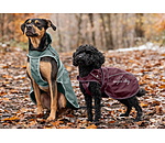 Dog Raincoat Ally 2 in 1