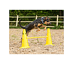 Agility Cones