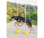 Agility Hoop