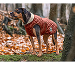 Dog Coat Archie with Teddy Fleece Lining, 160 g