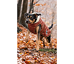 Dog Coat Archie with Teddy Fleece Lining, 160 g