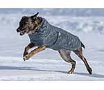 Lightweight Quilted Dog Jacket Cliff with Fleece Lining, 200g