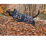 Rain Dog Coat Pumpkin Spice, 0g