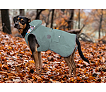 Rain Dog Coat Waterton Lakes, 0g