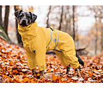 Allover Dog Rain Jacket Sequoia II, 0g