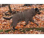 Allover Dog Rain Jacket Sequoia II, 0g