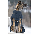 LED Dog Quilted Jacket Arlo, 300g