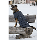 LED Dog Quilted Jacket Arlo, 300g