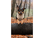 Dog Turtleneck Jumper Maisie