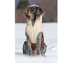 Sherpa Dog Hoodie Sawyer