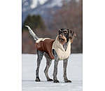 Sherpa Dog Hoodie Sawyer