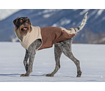 Sherpa Dog Hoodie Sawyer