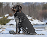 Soft Shell Dog Coat Cruz with integrated harness, 160g