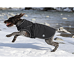 Soft Shell Dog Coat Cruz with integrated harness, 160g