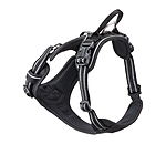 Dog Harness Expedition