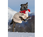 Plush Toy Santa for dogs