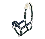 Headcollar Swiss Design