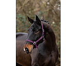 Headcollar Super Price