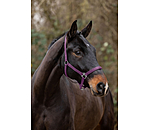 Headcollar Super Price