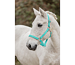 Headcollar Super Price