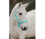 Headcollar Super Price