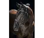 Flash Bridle Anatomical Classic